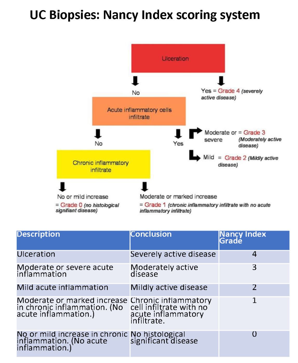 Description of the image